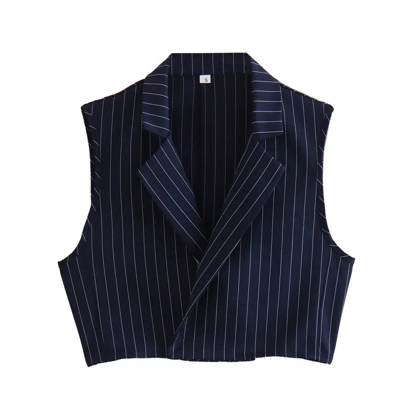Royce Blue Stripes Notched Collar Waistcoat Top and Zipper Fly Casual Pants Set