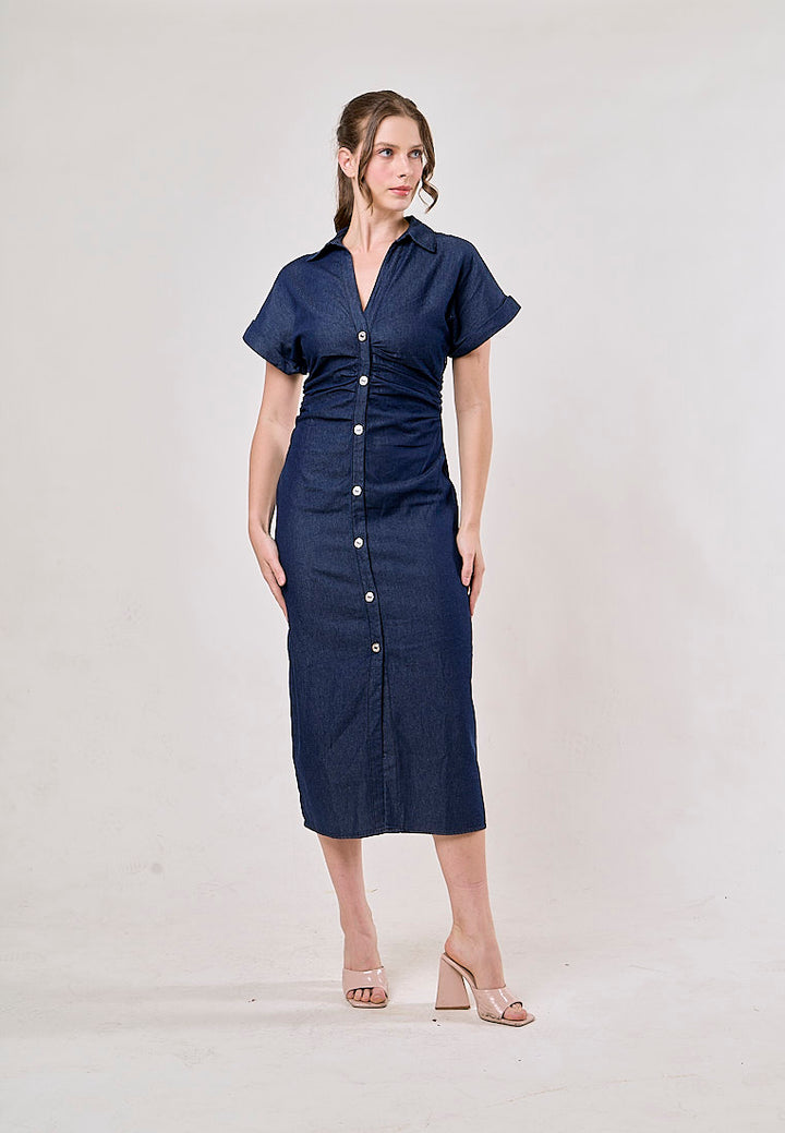 Luella Denim Blue  Buttons Up Pleated Casual Maxi Dress