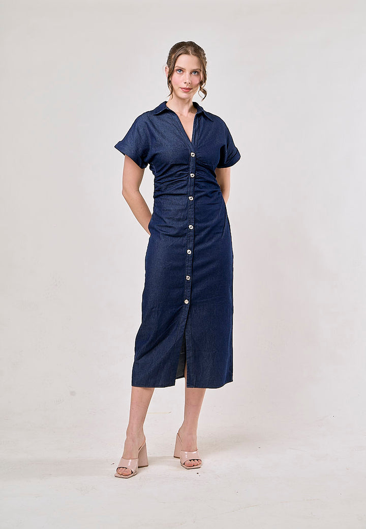 Luella Denim Blue  Buttons Up Pleated Casual Maxi Dress