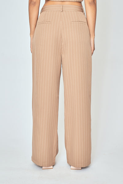 Drake Khaki Stripes Zipper Fly Pleated Wide Leg Pants