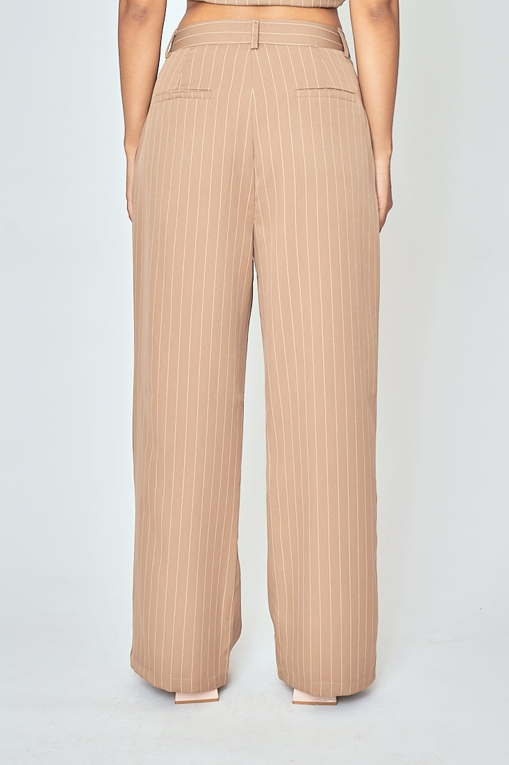 Drake Khaki Stripes Zipper Fly Pleated Wide Leg Pants