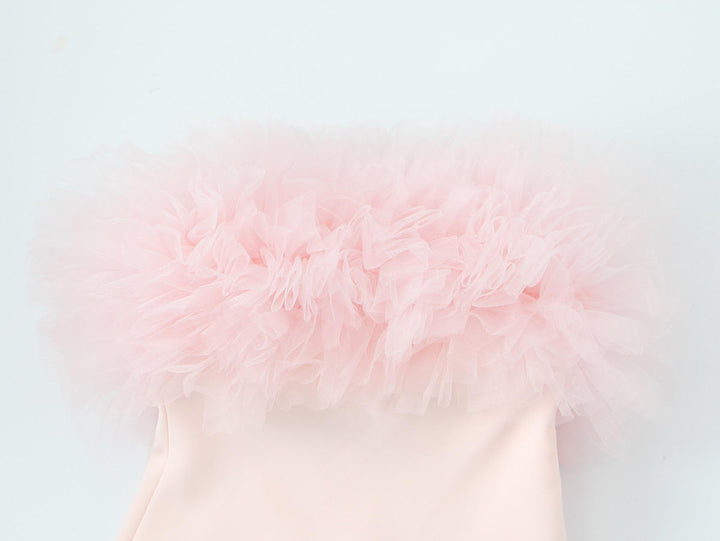Aubriella Pastel Pink Fluffy Silk Mesh Tube Top Mini Dress
